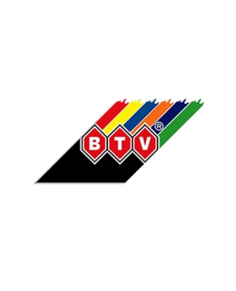 BTV logosu